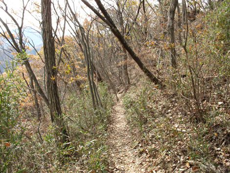 20181126hike (104)